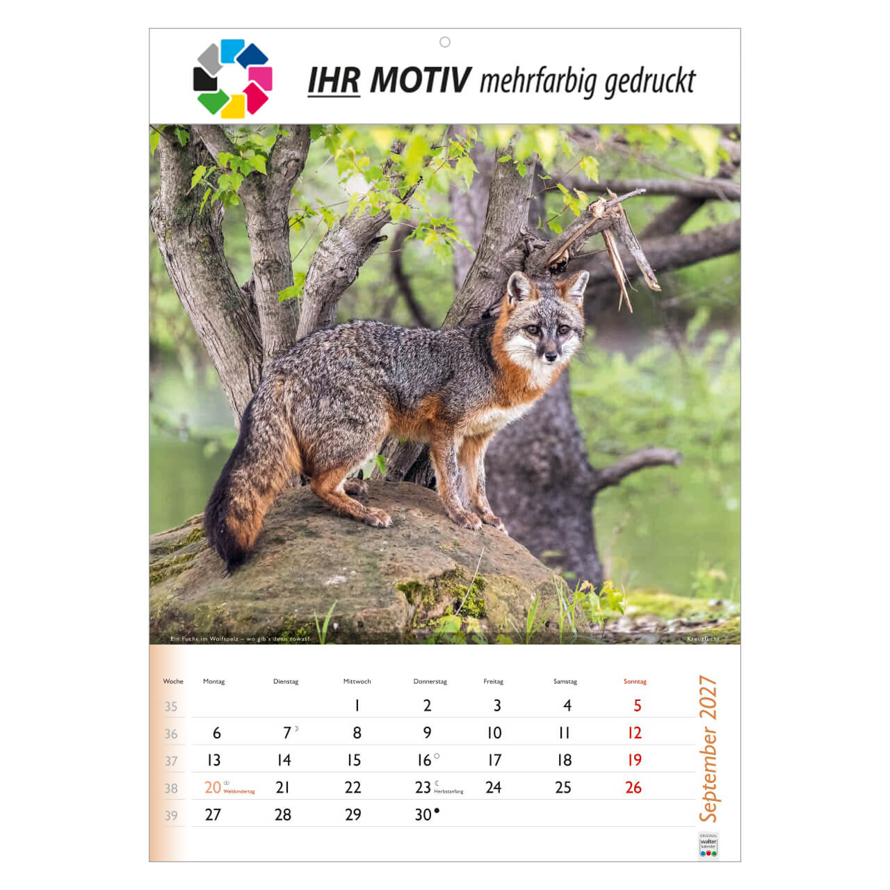 /customers_pics/593/artikel/1112113190/Wunderbare Tiere_2027_213-2027_IhreWerbung_9.jpg